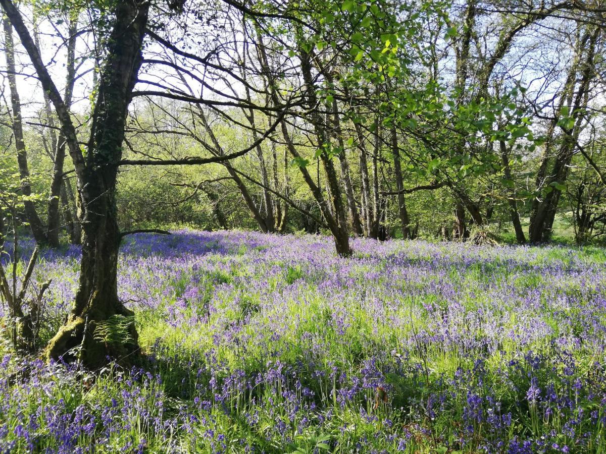 Wray Valley Moretonhampstead Bagian luar foto