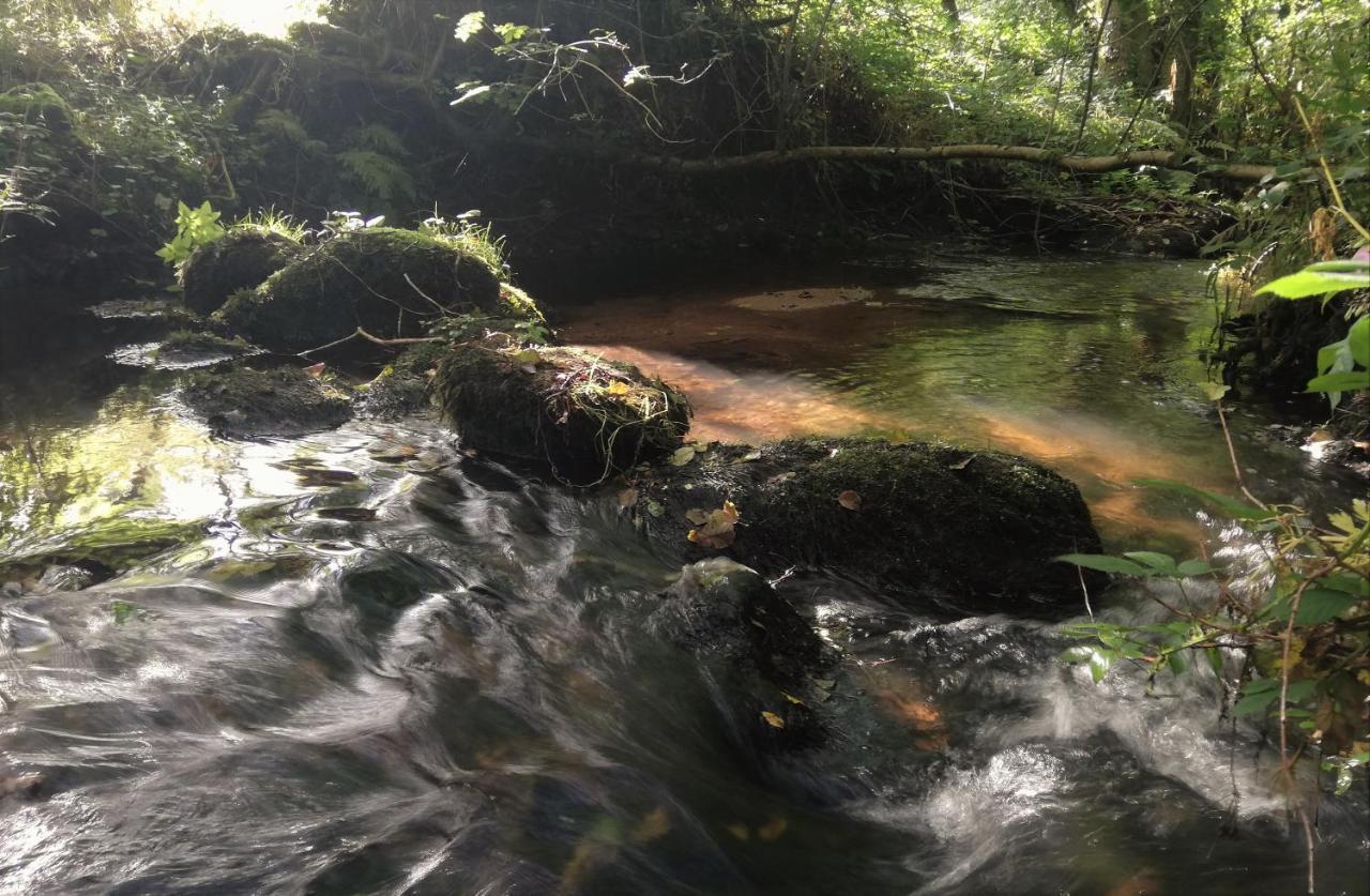 Wray Valley Moretonhampstead Bagian luar foto