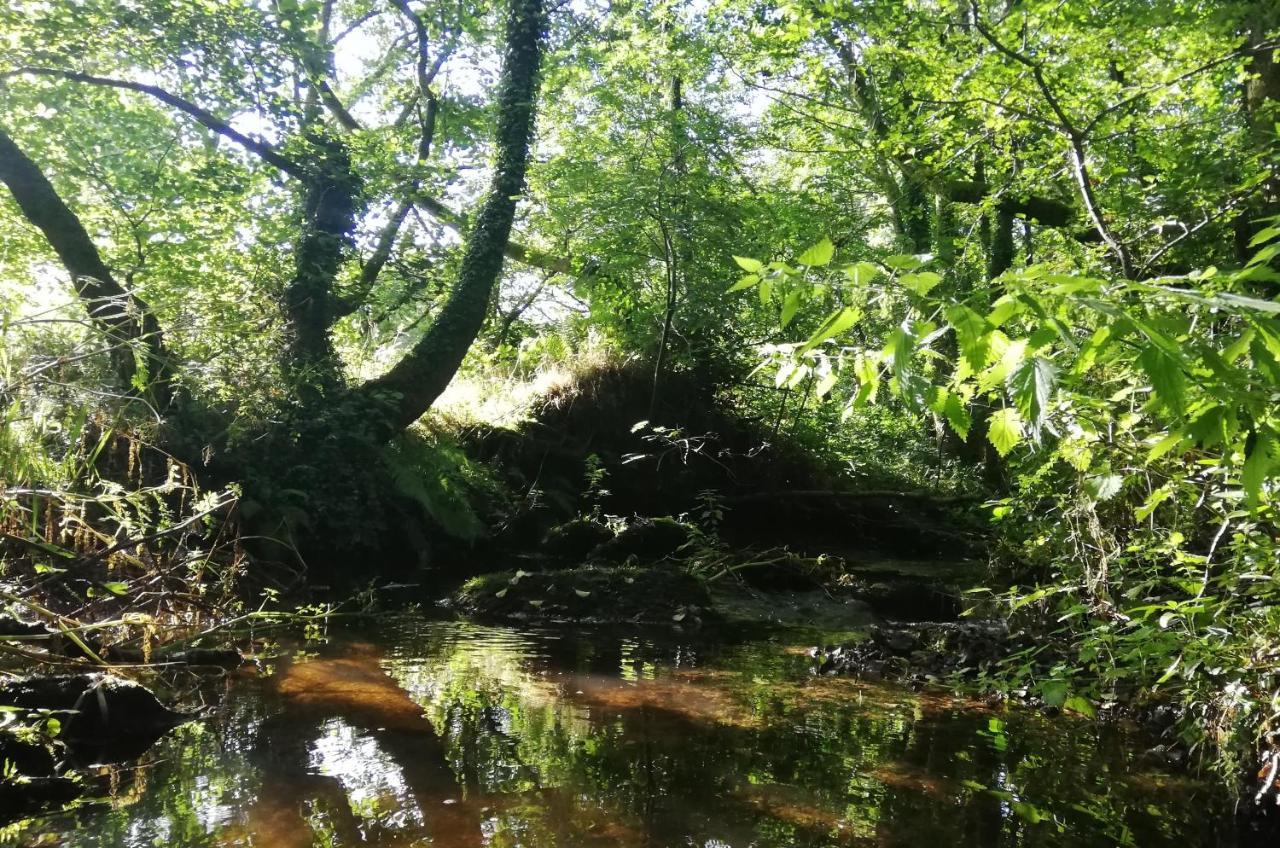 Wray Valley Moretonhampstead Bagian luar foto
