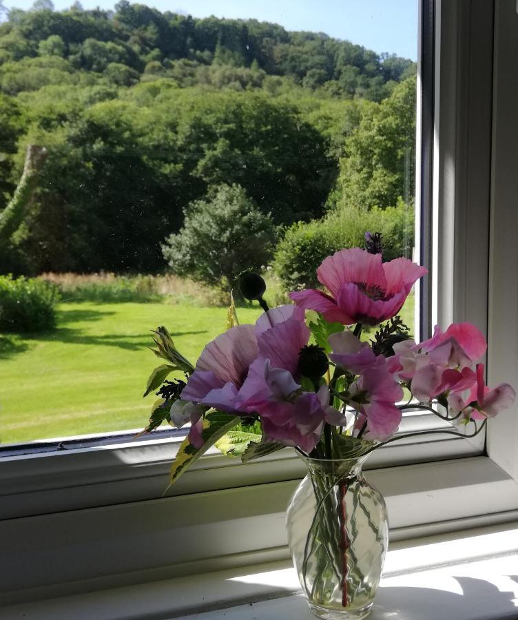 Wray Valley Moretonhampstead Bagian luar foto
