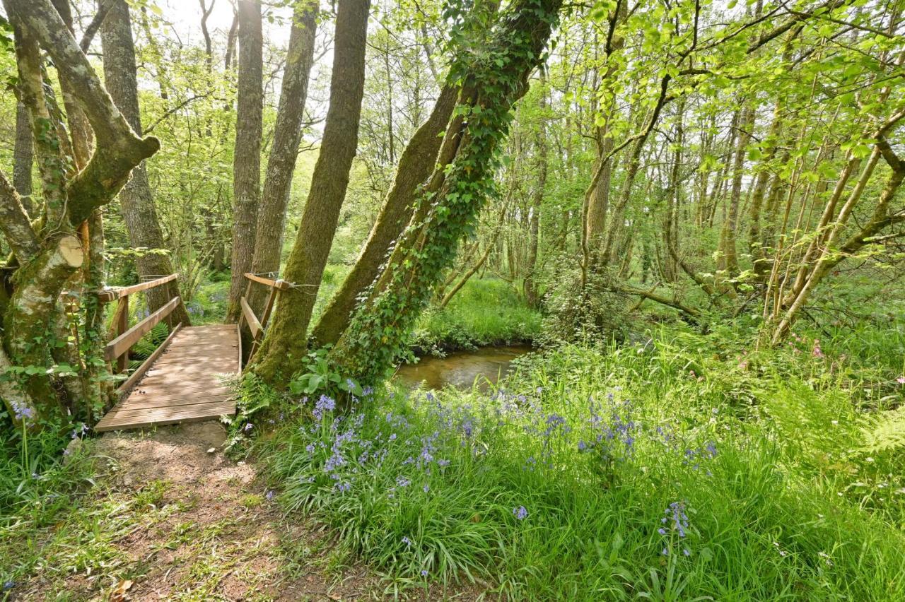 Wray Valley Moretonhampstead Bagian luar foto