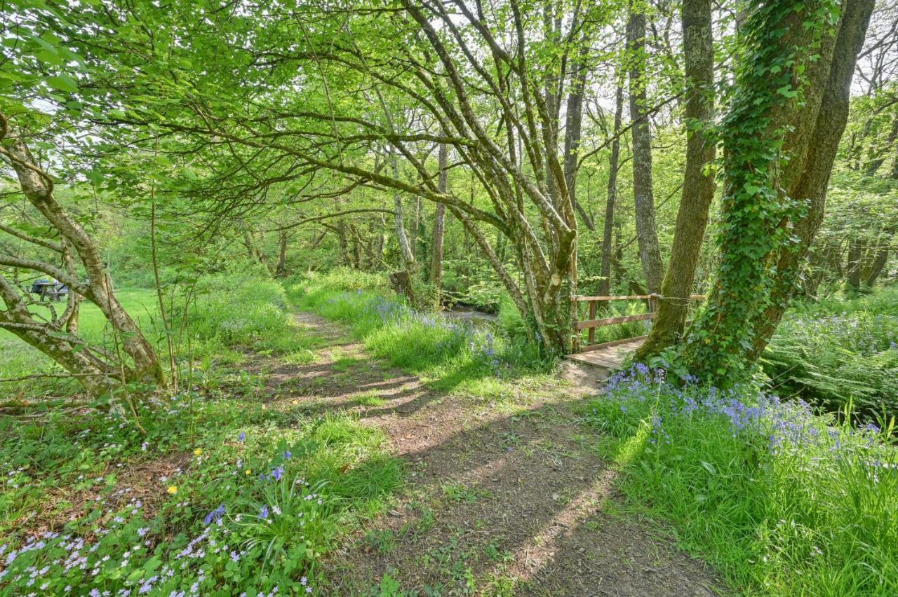 Wray Valley Moretonhampstead Bagian luar foto