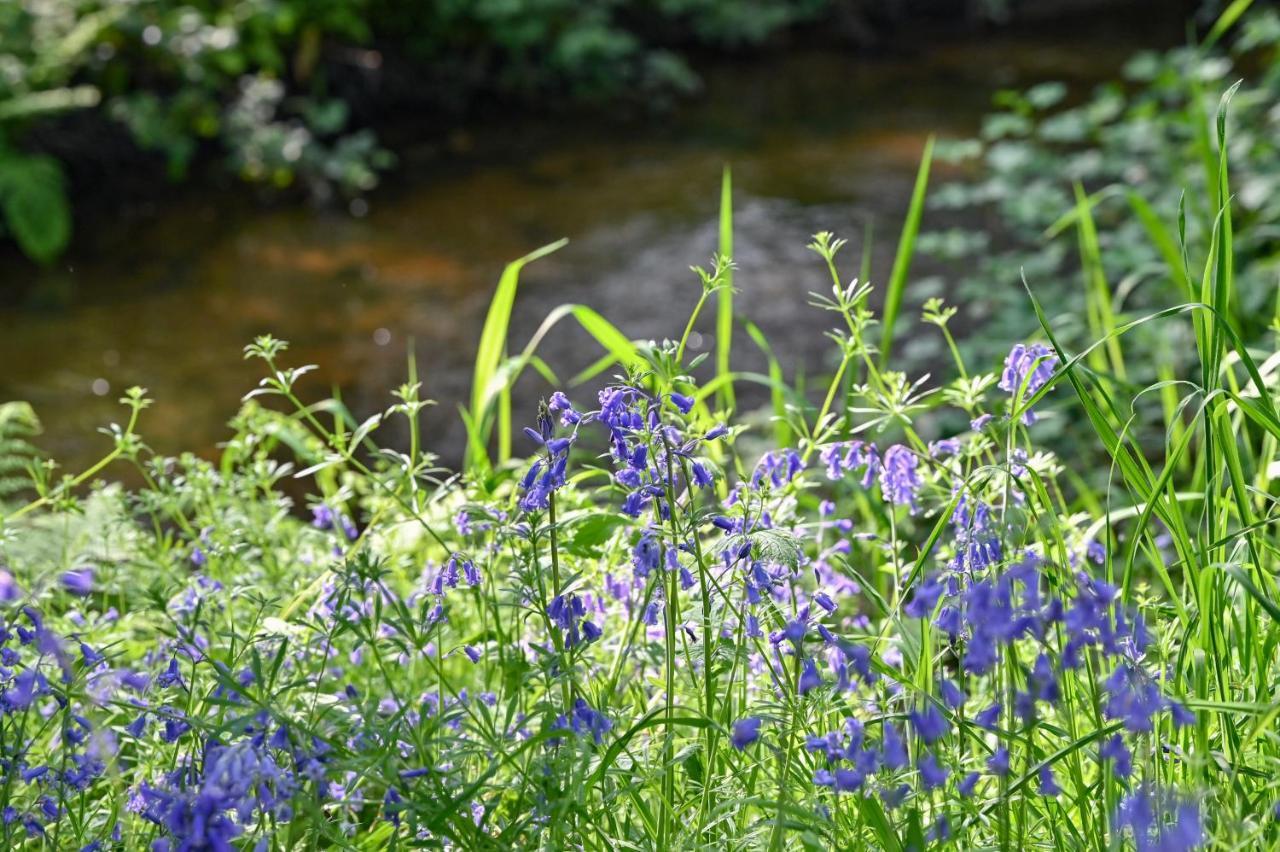 Wray Valley Moretonhampstead Bagian luar foto