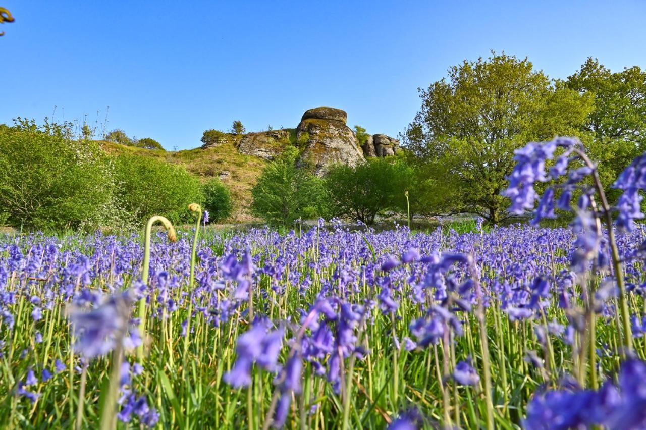Wray Valley Moretonhampstead Bagian luar foto