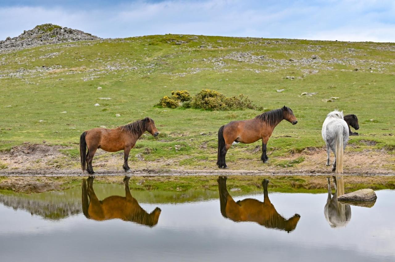 Wray Valley Moretonhampstead Bagian luar foto